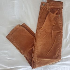 Everlane baby cord cheeky crop 26